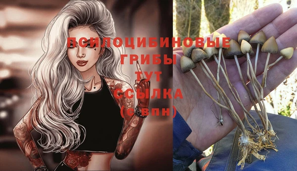 винт Зеленодольск
