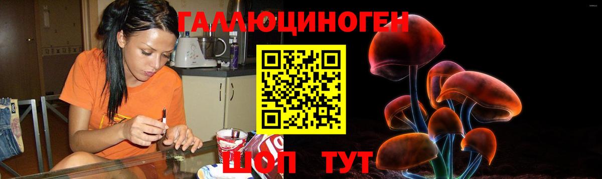 Псилоцибиновые грибы GOLDEN TEACHER Урус-Мартан